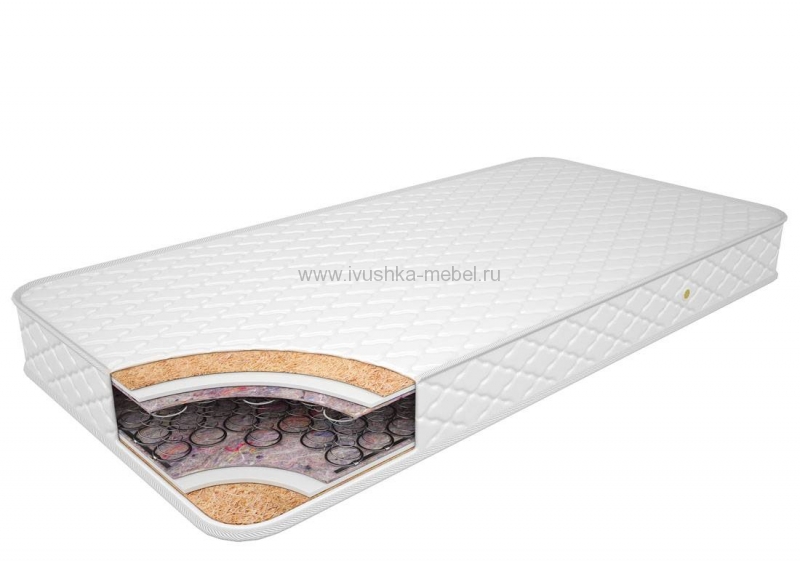 ������ "�����-�����"